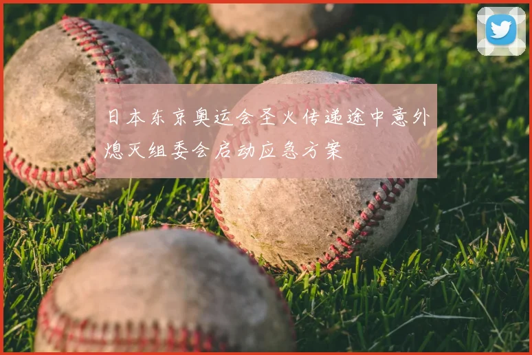 日本东京奥运会圣火传递途中意外熄灭组委会启动应急方案