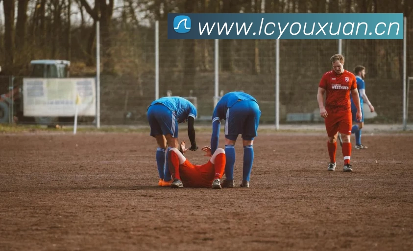 多媒体互动体验